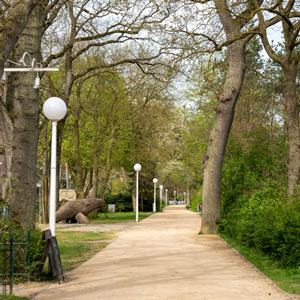 Bildergallerie Boltenhagen